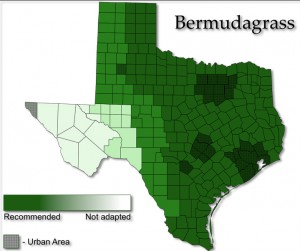 Bermudagrass Areas of Adaptation